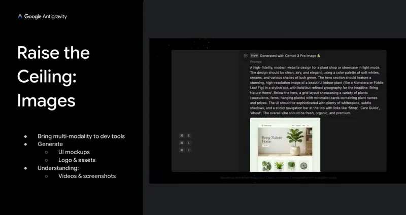 Raise Ceiling with Images