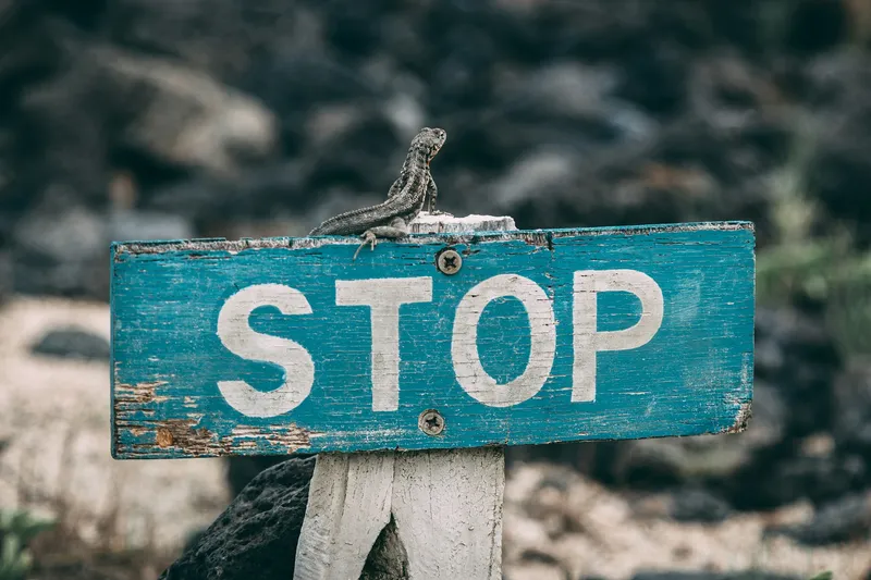 Stop sign - knowing when to stop - Photo by Jose Aragones / Unsplash