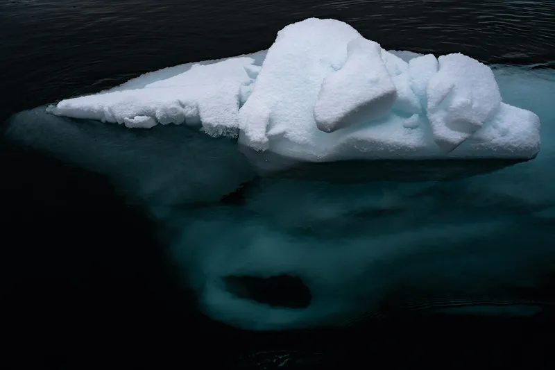 Layer cake - Photo by James Eades / Unsplash